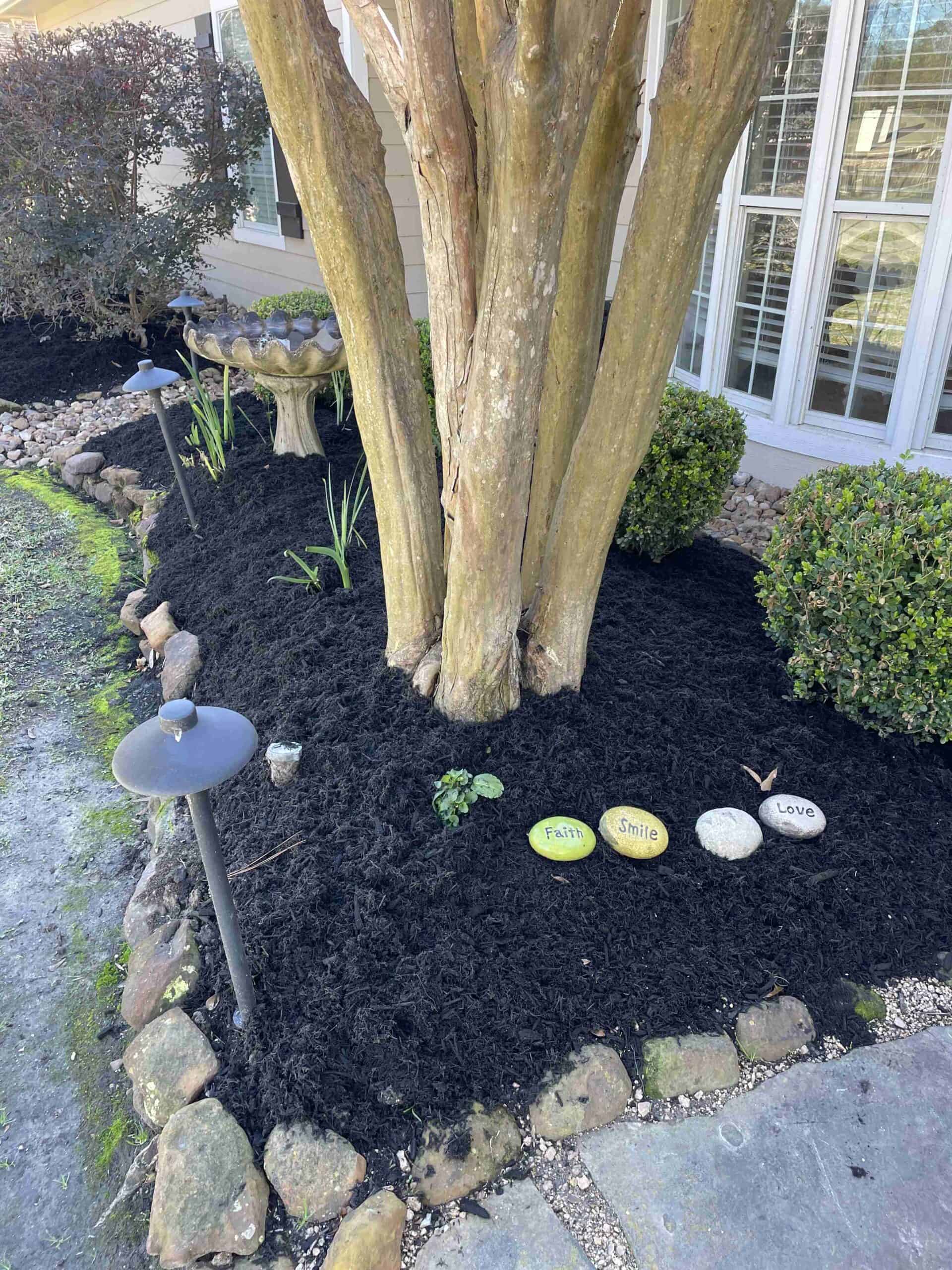 choose between mulch and composting for the best results