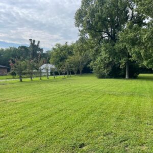 Humble landscaping, mulch, and fencing