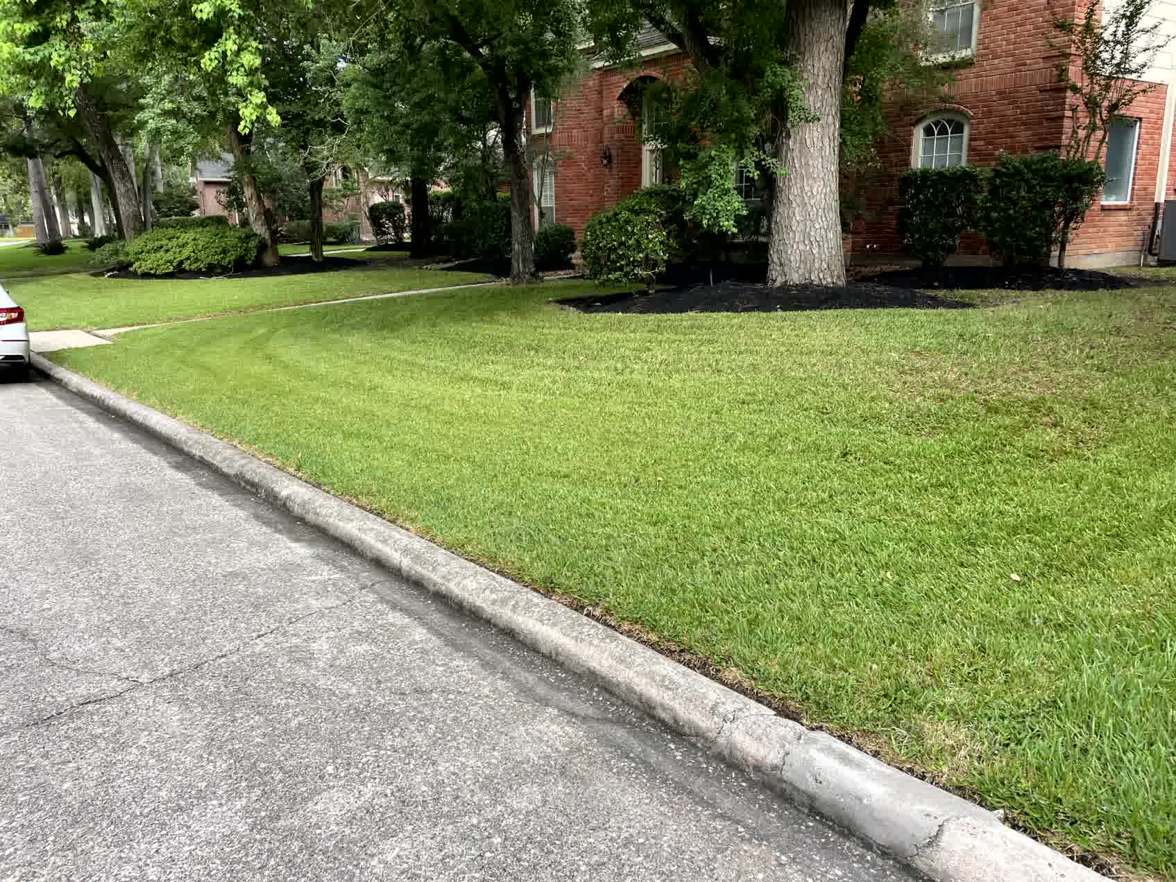Expert lawn mowing for residential and commercial properties near Kingwood Area, Atascocita, Humble, Texas