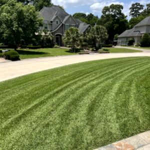 Kingwood Area, Atascocita, and Humble lawn mowing professionals