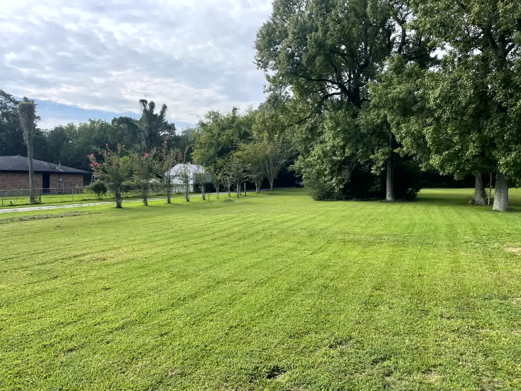 Professional lawn mowing services in Kingwood Area, Atascocita, Humble, and surrounding areas