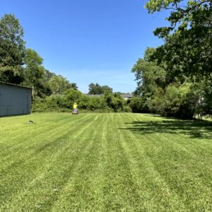 Lawn mowing services near me in Kingwood Area, Atascocita, and Humble, TX.