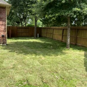 Professional sod installation services in Kingwood Area, Atascocita, Humble, and surrounding areas
